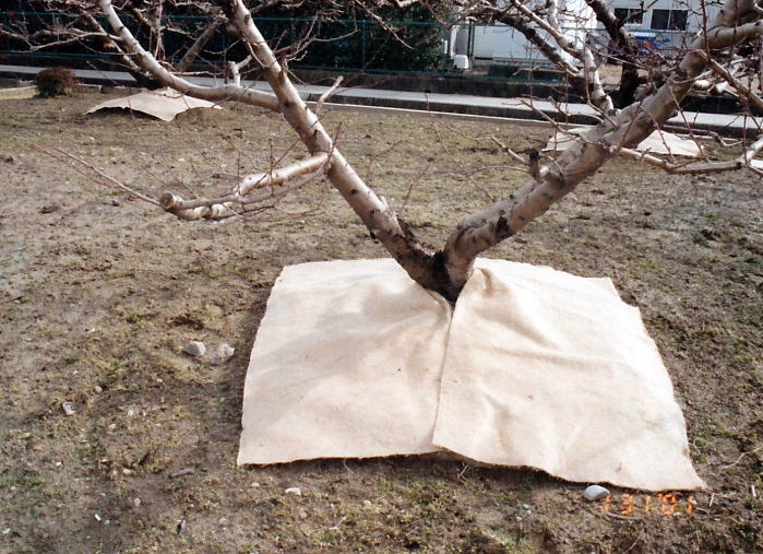 防寒・防草資材『グランドマット』