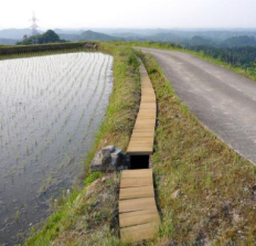 水路蓋『木利のふた』