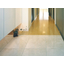 Achieve a distinctive interior with custom natural stone processing for items like step frames and tabletops.