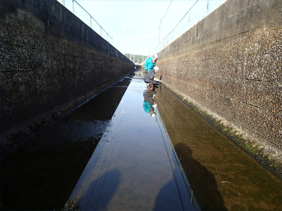 受託調査『農業水利施設調査』