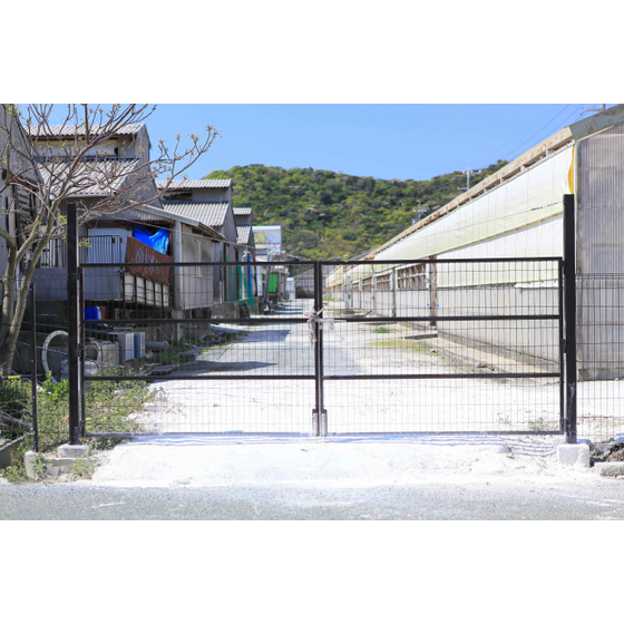 _MG_0320-min-min.JPG