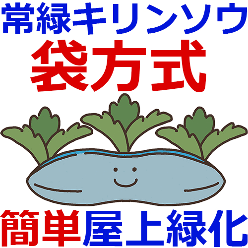 常緑キリンソウ袋方式　屋上緑化で失敗する原因が分かります！