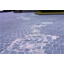 Do you have any concerns about landscape paving?
