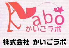 介護コンサルティングサービス