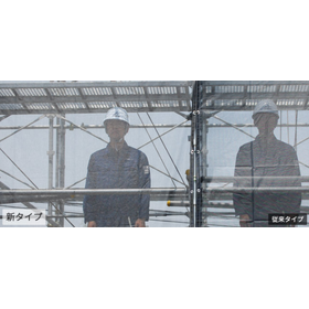 Through mesh sheet type 2