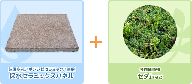 簡単施工・低管理型緑化システム『グリーンビ  ズ‐Ｇ』