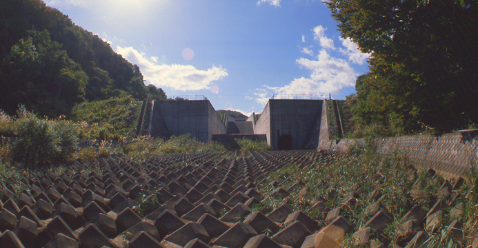 ダム　耐震性能照査サービス