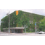 Wall Greening System - Hedera Climbing System