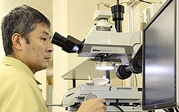 【寸法測定について】工具顕微鏡