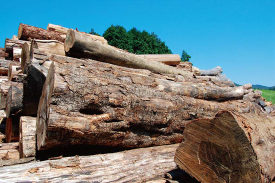 正垣木材株式会社　会社案内