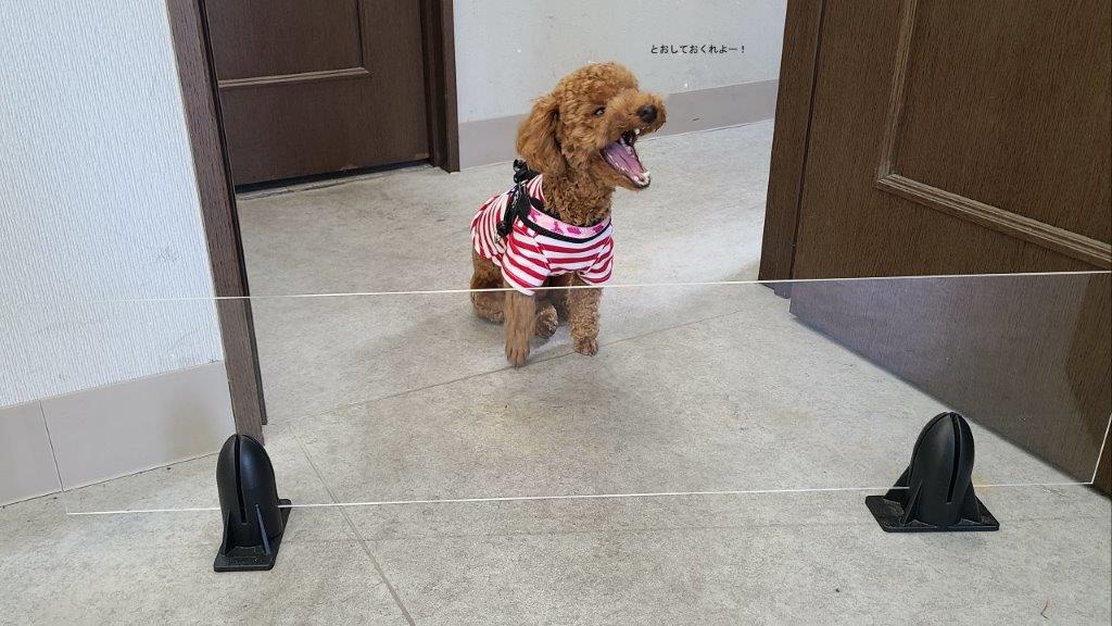 小型犬用アクリル板ペットガード | 橋本産業 - Powered by イプロス