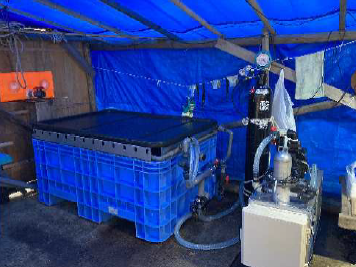 【アクアミキサー開発事例】ワカメの鮮度保持システム