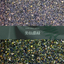 Green-colored gravel and stones "Bisen Green (Dark)"