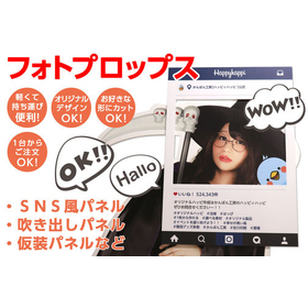 SNS panel and photo props