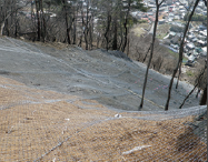 鋼管杭式表層崩壊予防工法『ミラフォース I』