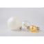 Sample giveaway! The incandescent bulb itself. New filament LED bulb.