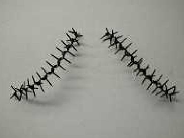 鳥害解消器『とりスパイラル』