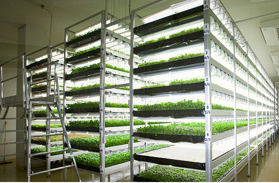 機能空間の創造サービス