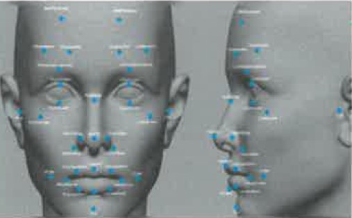 『3次元顔認証システム』