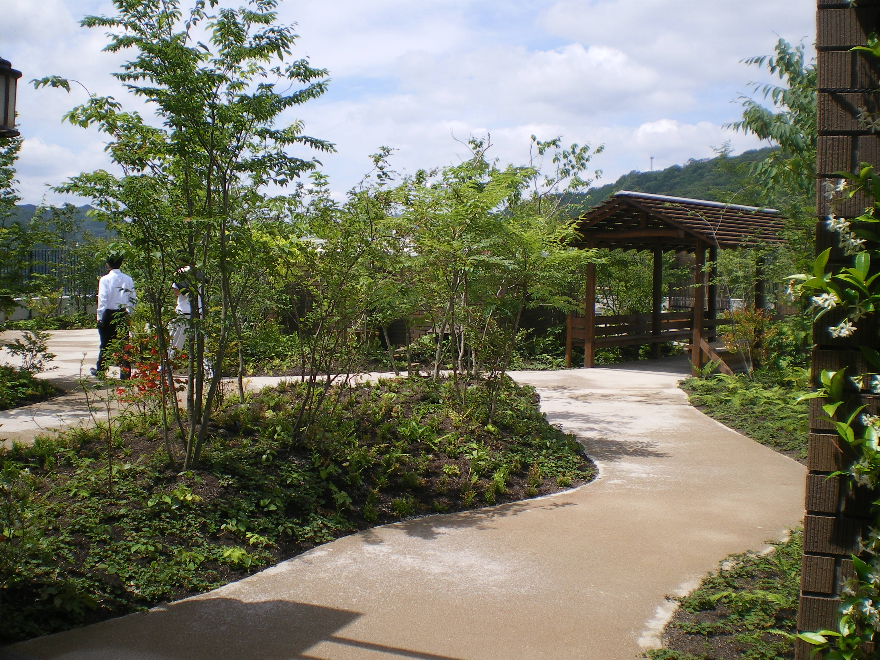 自然土環境舗装材『Kソイル』