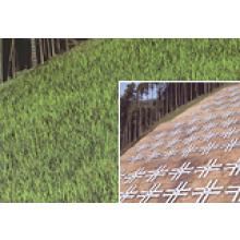 株式会社エスイー　事業紹介