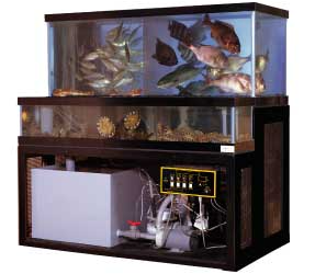 水槽・水産設備機器　設計サービス