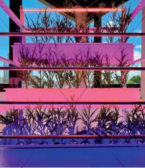 縦型水耕栽培ユニット『Da・Capo（ダ・カーポ）』