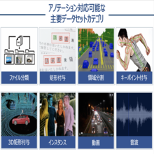 高品質・低コストな教師データ作成  Annotation One