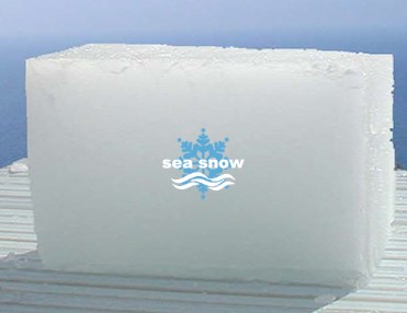 人工海水製氷装置『sea snow』