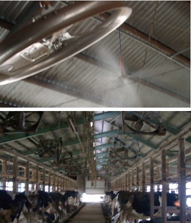 牛舎簡易冷房システム『プラスフォッガー』