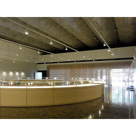 中大規模木造建築【施工事例】国立近現代建築資料館