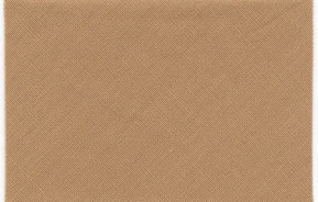 バイアステープ『5780 コットンブロード』