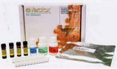 マイコトキシン毒検査シリーズ『ベラトックスアフラトキシン』