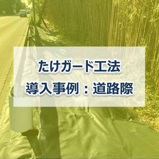 【防草シート施工事例】たけガード工法