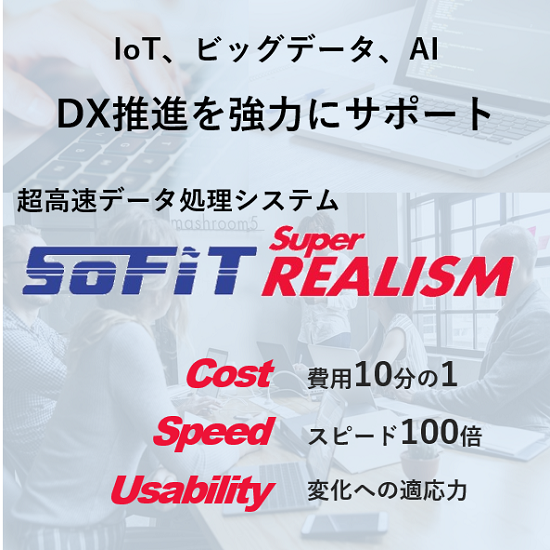 超高速データ処理システム SOFIT Super REALISM