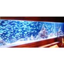 水環境プロデュース　アクアリウム・観賞用水槽・インテリア水槽