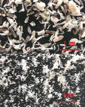 木粉『ひみ里山杉木粉』