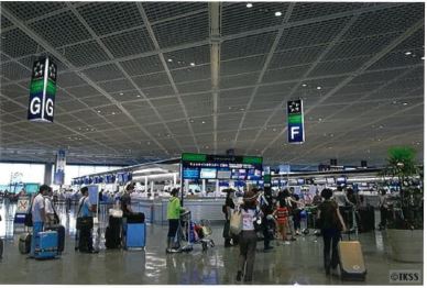 海外航空券自動変更再発行システム『Ticket Changer』