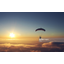 [For New Business Openings] Art Panel Skydiving (Sports)