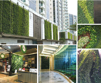 【土壌】トヨタサントリーミドリエ『Pafcal（パフカル）』