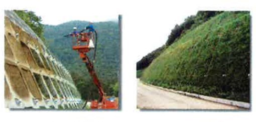 法面緑化工法『カエルドグリーン工法』