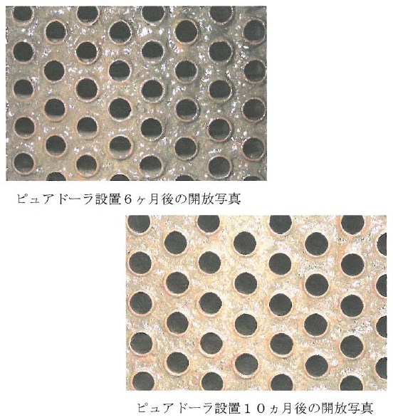 【導入事例】ピュアドーラ（スケール編）