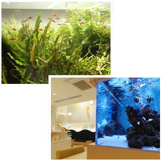 熱帯魚水槽 アクアリンクの「こだわり」