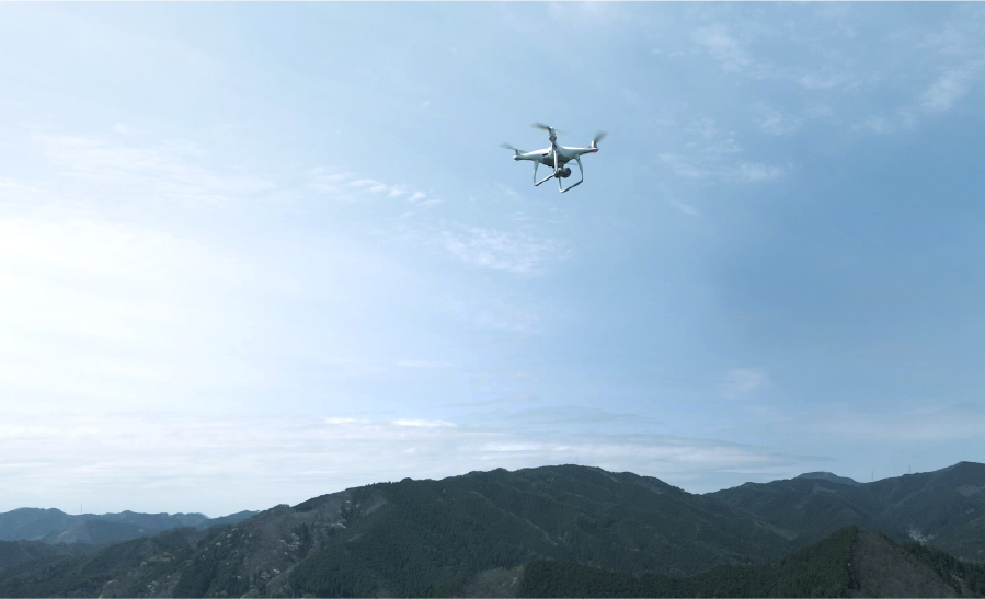 森林計測・解析サービス