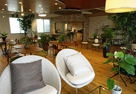 観葉植物レンタルサービス『GREEN観葉植物』