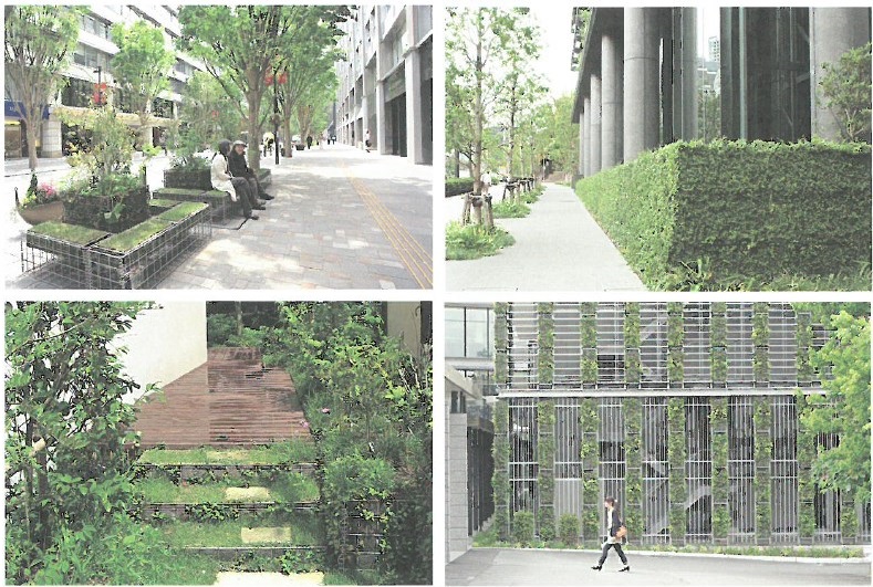 緑の環境設計 ZX-14R(ZX1400E/F/G/H)-since2012- - バイクの系譜