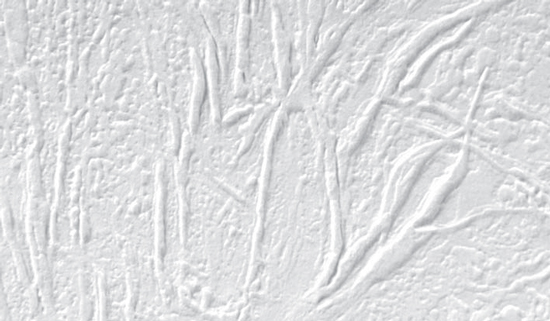 塗装下地壁紙『Vlies ルナファーザー・フリーズ』