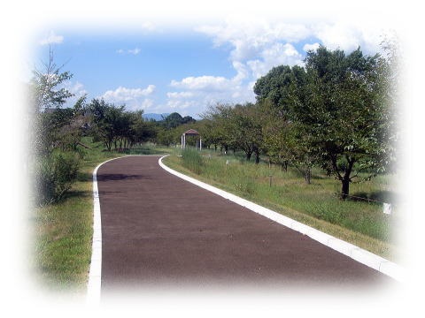 【フランチャイズ募集】「木」を使ったアスファルト舗装材！