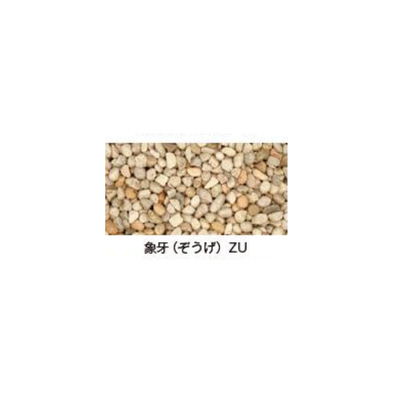 ぞうげ.PNG