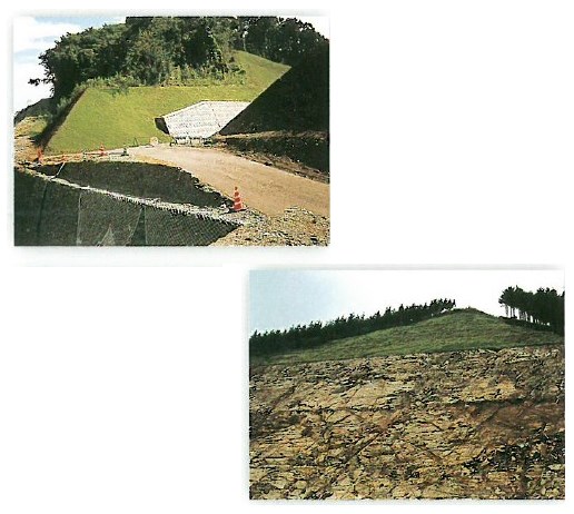 緑化吹付用安定・浸食防止剤『アルファグリーン』